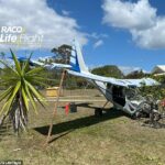 Una avioneta se vio obligada a descender en la región de Noosa, en Queensland, y chocó contra un árbol mientras intentaba un aterrizaje de emergencia.