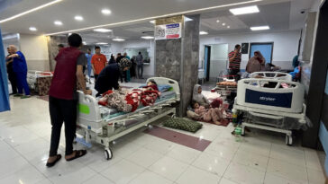 "Al Shifa se ha convertido en una fosa común", afirma a FRANCE 24 el director del hospital de Gaza