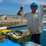 Barbados y Trinidad y Tobago por nuevo acuerdo pesquero