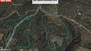 San Gabriel, un municipio de Jalisco, ha perdido miles de acres de bosque desde 2014, principalmente debido a la quema ilegal para huertos de aguacate.