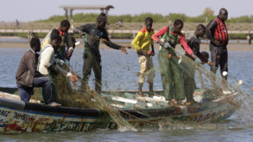 El atractivo de la migración atrapa a los pescadores de Senegal |  El guardián Nigeria Noticias