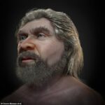 Los investigadores reconstruyeron el rostro de un hombre que vivió hace 56.000 años utilizando restos esqueléticos encontrados hace 115 años en Francia, revelando a un anciano con una larga barba.