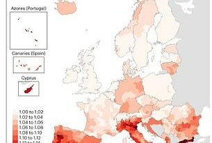 Las muertes por calor fueron elevadas en toda Europa, pero Italia, España y Alemania fueron las más afectadas.