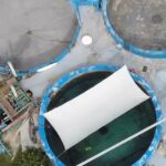 El manatí más solitario: la desgarradora existencia aislada de Romeo, de 67 años, que vive sus últimos años solo en una pequeña piscina de concreto de 30 pies en una parte "prohibida" del Miami Seaquarium.