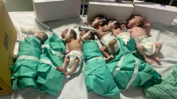 Guerra Israel-Palestina: Los pacientes se enfrentan a una "muerte inevitable" mientras las tropas israelíes asedian los hospitales de Gaza por tercer día