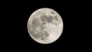 La primera red lunar está a punto de ser lanzada en uno de los entornos más inhóspitos a los que jamás haya llegado el ser humano: a unas 240.000 millas de la Tierra (Foto de archivo)