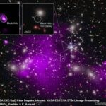 Los astrónomos encontraron el agujero negro más distante jamás detectado en rayos X utilizando los telescopios espaciales Chandra y James Webb.  La emisión de rayos X es una señal reveladora de un agujero negro supermasivo en crecimiento.  Estas imágenes muestran el cúmulo de galaxias Abell 2744 detrás del cual se encuentra UHZ1, en rayos X de Chandra y datos infrarrojos de Webb, así como primeros planos de la galaxia anfitriona del agujero negro UHZ1.