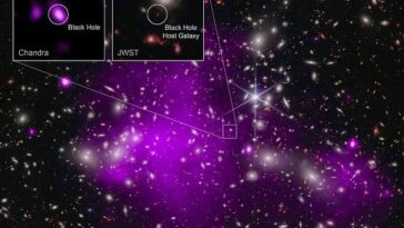 Los astrónomos encontraron el agujero negro más distante jamás detectado en rayos X utilizando los telescopios espaciales Chandra y James Webb.  La emisión de rayos X es una señal reveladora de un agujero negro supermasivo en crecimiento.  Estas imágenes muestran el cúmulo de galaxias Abell 2744 detrás del cual se encuentra UHZ1, en rayos X de Chandra y datos infrarrojos de Webb, así como primeros planos de la galaxia anfitriona del agujero negro UHZ1.
