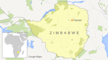 La ONU insta a investigar el hallazgo muerto de un activista de Zimbabue