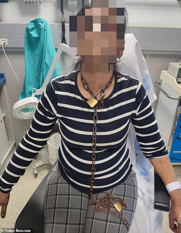 Los médicos de la ciudad de Miranda de Ebro quedaron atónitos cuando la mujer con el rostro magullado ingresó al hospital Santiago Apóstol (en la foto)