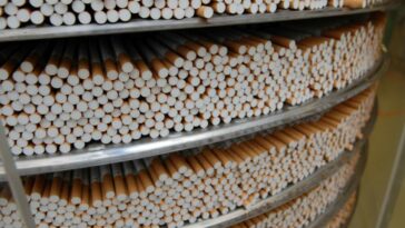 La policía alemana desmantela una fábrica ilegal de tabaco e incauta 26 millones de cigarrillos