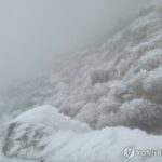 1st snow of season falls on Mount Halla amid cold snap