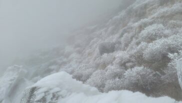 1st snow of season falls on Mount Halla amid cold snap