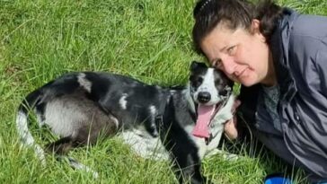 Lindsey Thwaites, de 51 años, atribuyó su malestar a las dolorosas hemorroides, pero después de que su perro Brian siguió oliéndole el trasero, concertó una cita con su médico de cabecera y finalmente recibió un diagnóstico de cáncer.