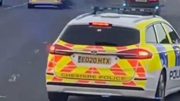 Este es el momento en el que un conductor de BMW es embestido por la policía tras intentar circular en sentido contrario por la autopista