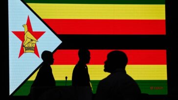 Another political activist has been found dead the Zimbabwe's December by-elections approach.
