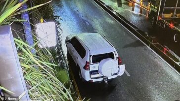 Un Toyota Prado LandCruiser (arriba) reportado como robado en Sunshine Coast fue perseguido por la policía en Sydney después de chocar contra 30 autos.
