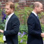 Hasta esta semana, era posible imaginar una especie de acercamiento: un reconocimiento de que la mejor manera de asegurar el futuro de la monarquía era reconciliar a William y Harry.