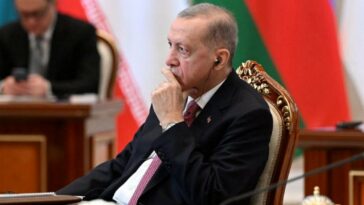 Turquía: Erdogan se pone del lado del tribunal de casación en el litigio con el tribunal constitucional