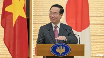 Vietnam eleva al más alto nivel relaciones con Japón
