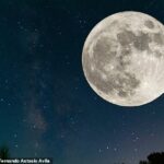 ¡Mira hacia arriba esta noche!  La luna llena de Beaver iluminará el cielo nocturno: este es el mejor momento para verla desde el Reino Unido