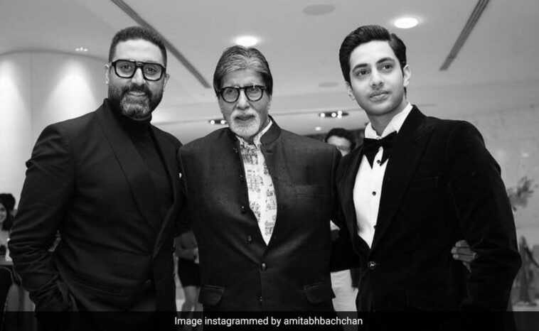 Amitabh Bachchan Used His New Favourite Word - Rizz - For Agastya And Abhishek