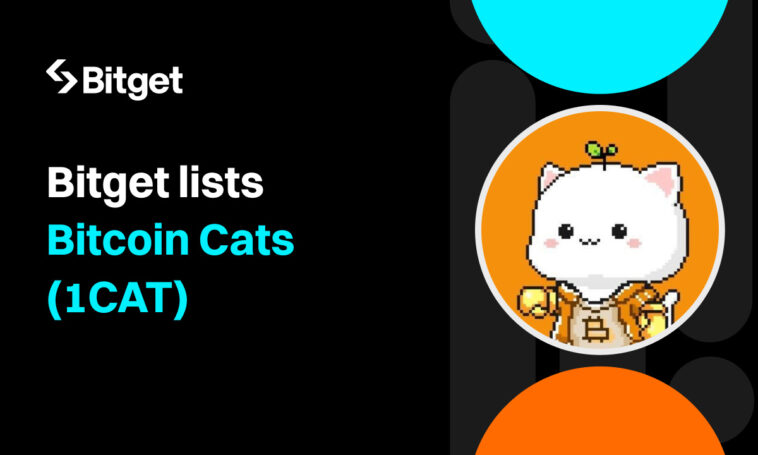 Bitget incluye el proyecto GameFi Bitcoin Cats (1CAT) en la Zona de Innovación - CoinJournal