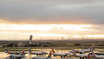 Decenas de vuelos han sido cancelados o retrasados ​​en el aeropuerto de Melbourne debido a la niebla