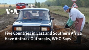 Cinco países de África oriental y meridional tienen brotes de ántrax, dice la OMS