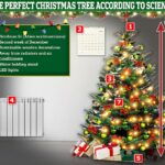 Los expertos han compartido sus consejos para el árbol de Navidad perfecto y han intervenido en el debate entre lo real y lo falso.