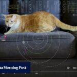Disparando mi láser: el gato Taters se roba el espectáculo en un vídeo transmitido desde el espacio profundo