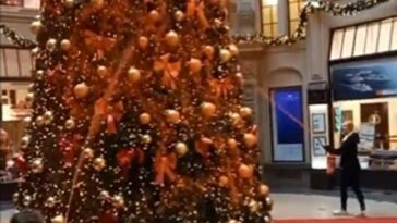 En un vídeo publicado en X la semana pasada, se puede ver a dos manifestantes rociando un árbol de Navidad con pintura naranja con extintores mientras un tercero despliega una pancarta cerca.