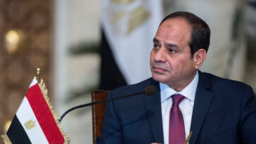 El presidente egipcio Sisi es reelegido con el 89,6% de los votos |  El guardián Nigeria Noticias