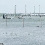 El aeropuerto de Cairns se ha visto obligado a cerrar debido a graves inundaciones, con imágenes extraordinarias que muestran varios aviones sumergidos en un torrente creciente en la pista.