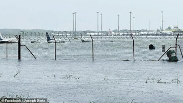 El aeropuerto de Cairns se ha visto obligado a cerrar debido a graves inundaciones, con imágenes extraordinarias que muestran varios aviones sumergidos en un torrente creciente en la pista.