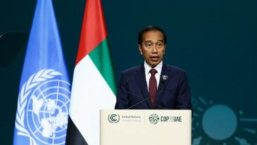 Indonesia desea coorganizar el Mundial Sub-20 2025 con Singapur: presidente Jokowi