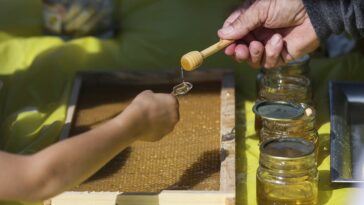 Los eurodiputados piden un etiquetado más claro de la miel para frenar el aumento de las importaciones falsas