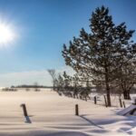 Los expertos dicen a los residentes canadienses que esperen inviernos más cálidos en algunas partes del país este año.