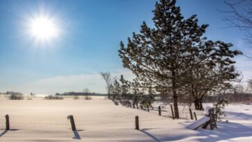 Los expertos dicen a los residentes canadienses que esperen inviernos más cálidos en algunas partes del país este año.