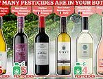 Los pesticidas en su Pinot Grigio: un estudio revela que más de la MITAD de los vinos vendidos en las tiendas británicas contienen productos químicos tóxicos. Entonces, ¿se ve afectada su botella favorita?