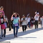Los republicanos quieren que se tomen las huellas dactilares de los niños menores de 14 años en la frontera sur para poner fin al "uso y abuso" de niños por parte de los traficantes.