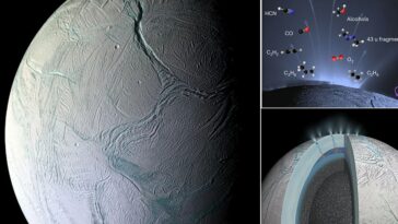 Es uno de los objetos más bellos de nuestro sistema solar, una esfera brillante de hielo blanco puro que esconde un océano líquido en su interior.  Pero a pesar de no parecerse en nada a nuestro planeta, Encélado, la sexta luna más grande de Saturno, puede tener algo en común con la Tierra: la presencia de vida.  Los científicos han descubierto moléculas orgánicas en las columnas de la luna que podrían estar sustentando
