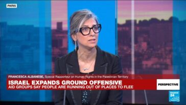 Relator especial de la ONU advierte sobre "grave riesgo de genocidio" en Gaza