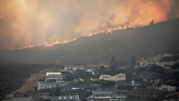 Segundo incendio forestal en Ciudad del Cabo obliga a evacuaciones |  El guardián Nigeria Noticias