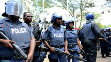 Siete personas mueren quemadas en ataque de una 'mafia' en un municipio de Sudáfrica |  El guardián Nigeria Noticias