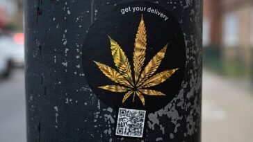 Todas las pequeñas pegatinas redondas tienen la imagen de una hoja de cannabis, las palabras