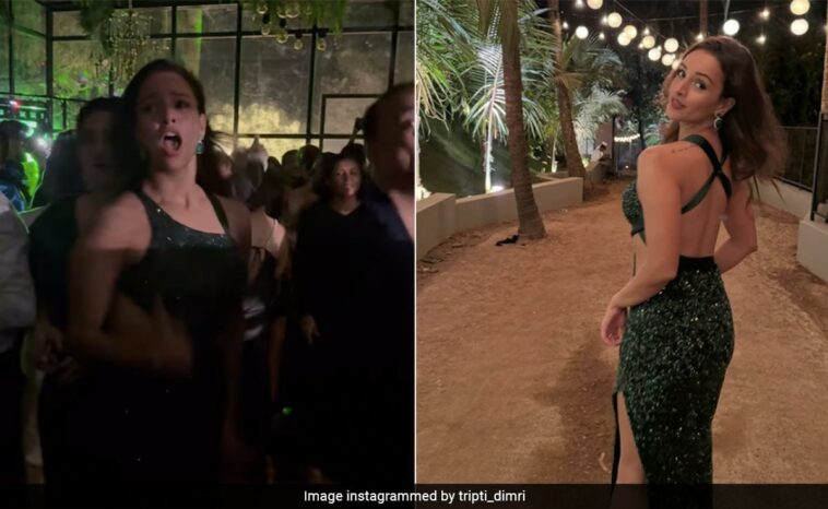 Viral: Triptii Dimri Dances To Animal Co-Star Ranbir Kapoor