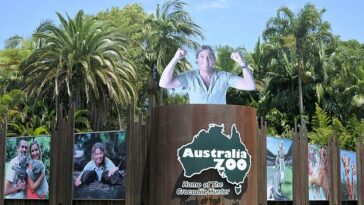 Un ualabí se escapó del zoológico de Australia (en la foto) en la Sunshine Coast de Queensland en las primeras horas de la mañana del sábado.