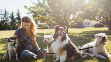 Una compañía de seguros para mascotas examinó cuánto gastó el estadounidense promedio en su perro o gato en 2023 y reveló que muchos dueños de mascotas desembolsaron más de lo esperado.