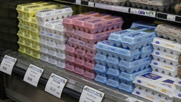 El invierno pasado, los precios de los huevos subieron a más de cinco dólares la docena.  Cartones de huevos se exhiben en HarvesTime Foods en Chicago en enero del año pasado.